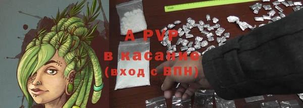 прущие крисы Верея