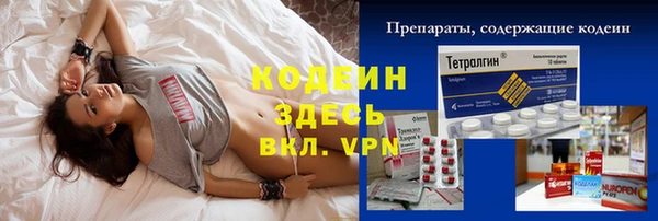 мдпв Верхний Тагил