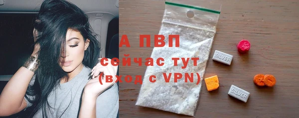 прущие крисы Верея