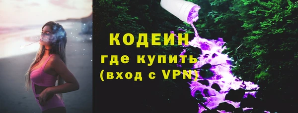 мдпв Верхний Тагил