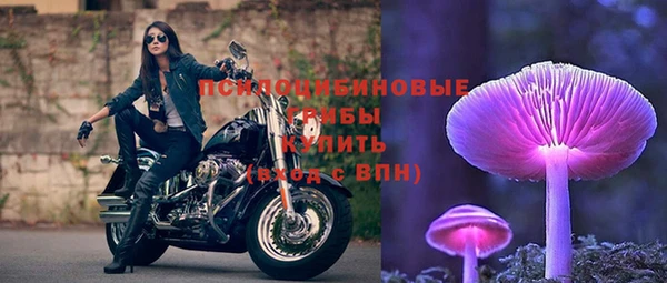 мдпв Верхний Тагил