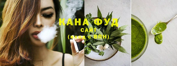 мдпв Верхний Тагил