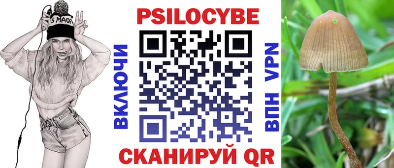 Псилоцибиновые грибы Psilocybine cubensis Томилино