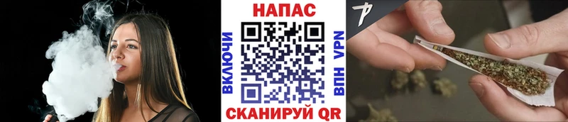 кракен tor цены Томилино Каннабис сатива